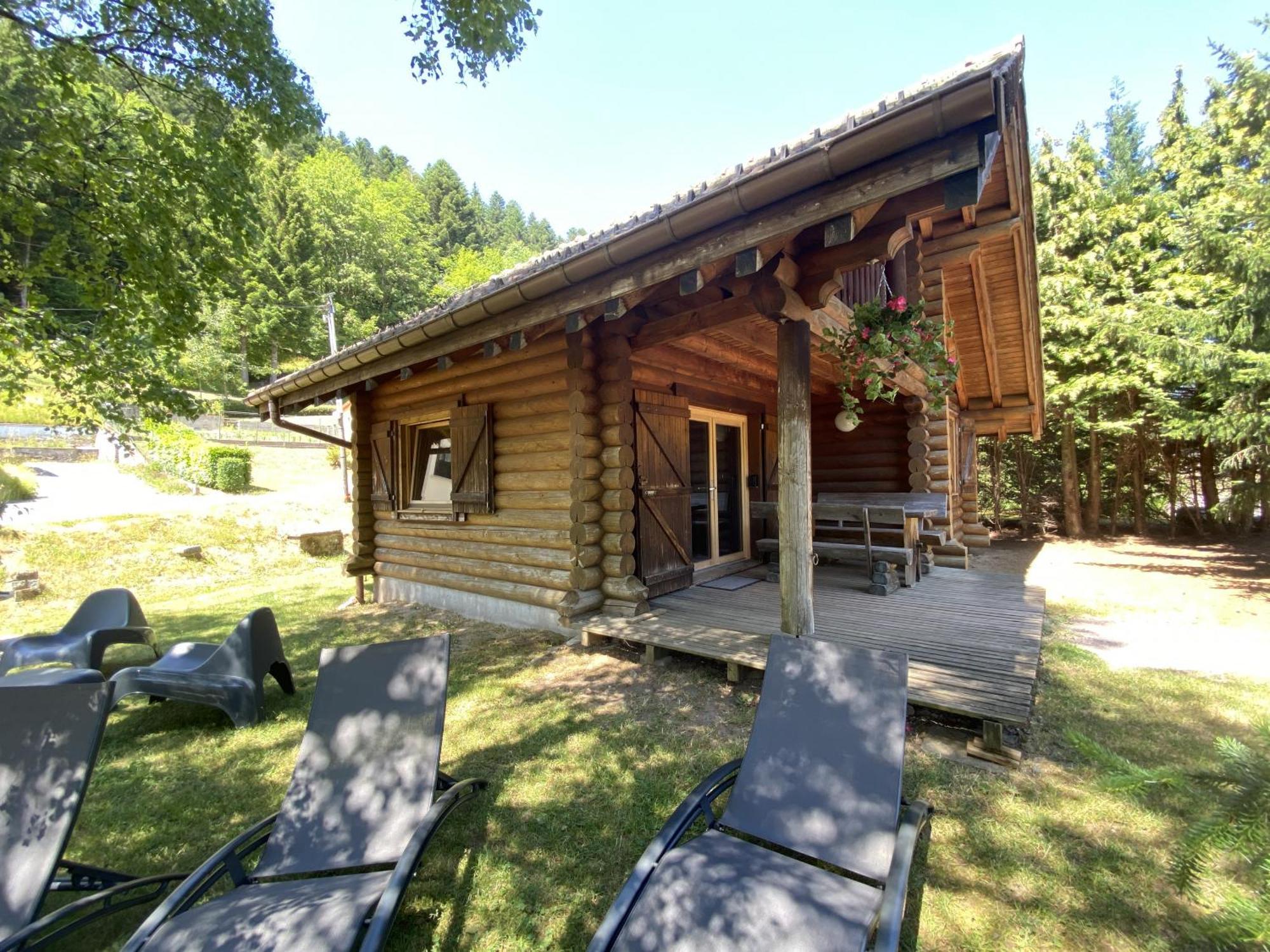 L'Oursblanc Chalet En Rondins La Bresse Εξωτερικό φωτογραφία